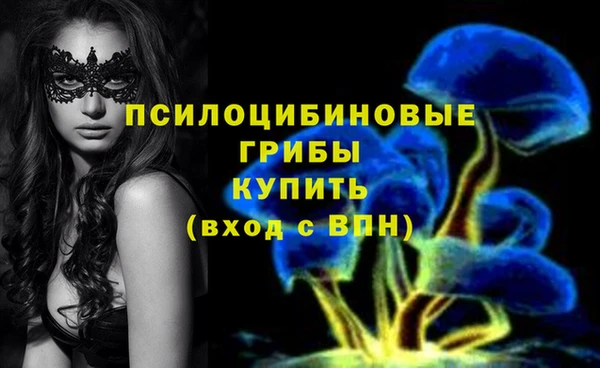 винт Козловка
