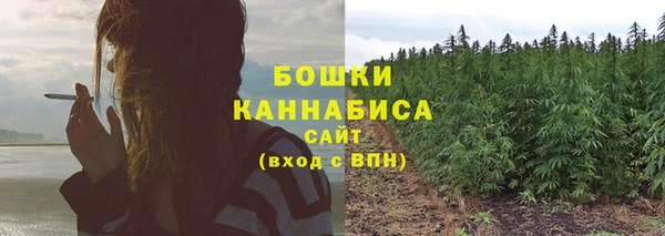 твердый Шали